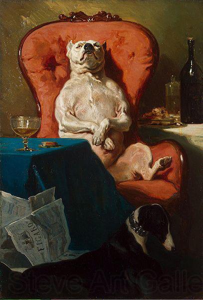 Alfred Dedreux Pug Dog in an Armchair Spain oil painting art